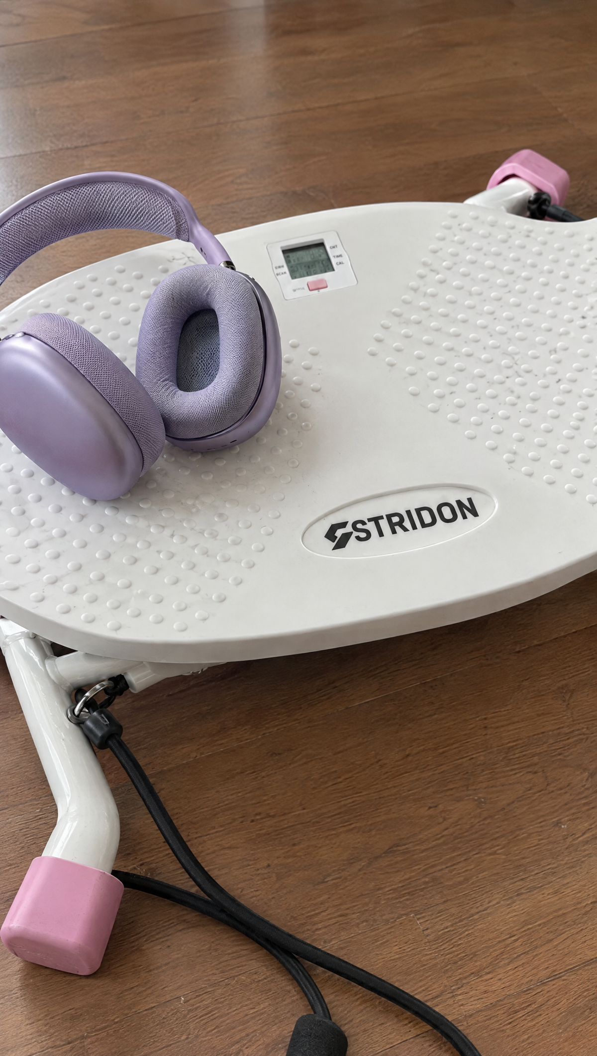 Stridon campaign — board detail